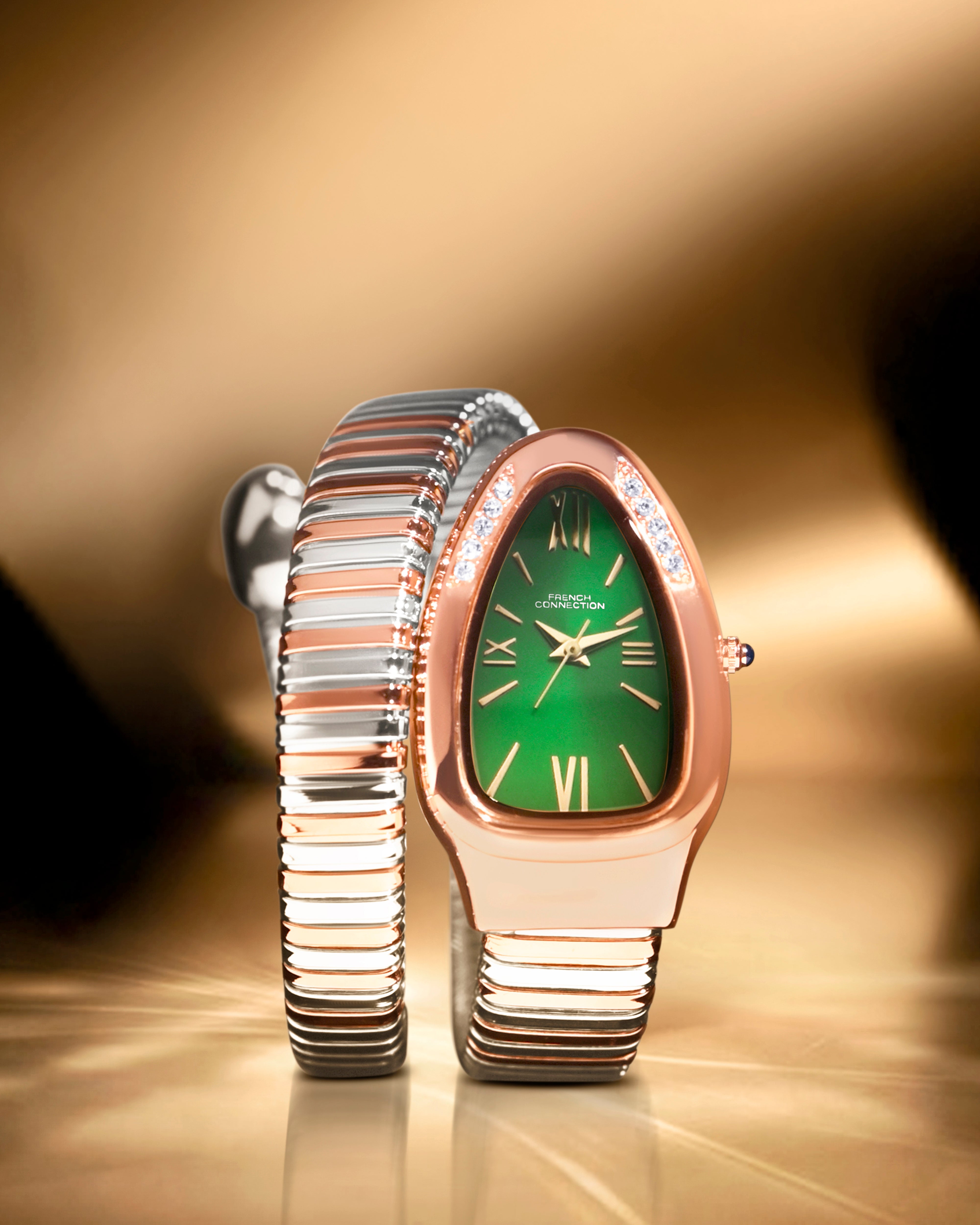 The Eternelle Curve Women's Snake Wrap Design Analog Watch | FCN0142NRTM